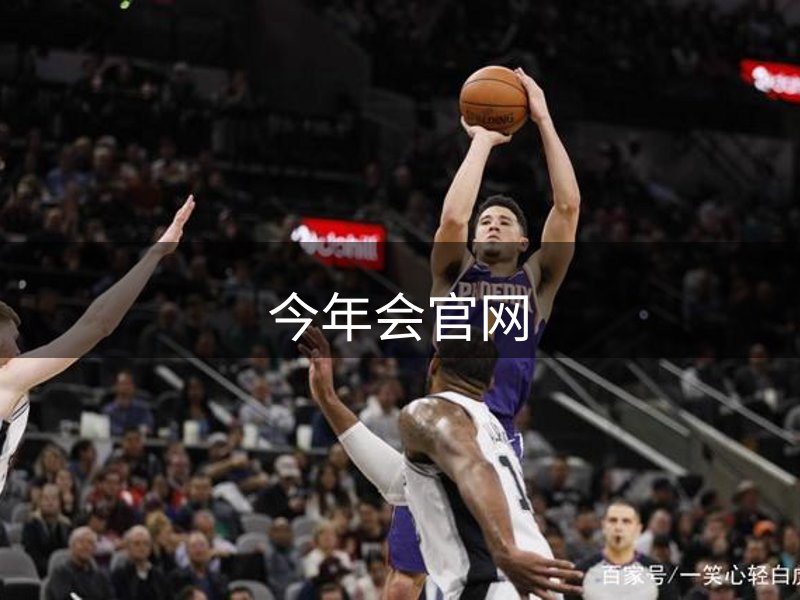 网站概况